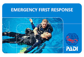 EFR padi
