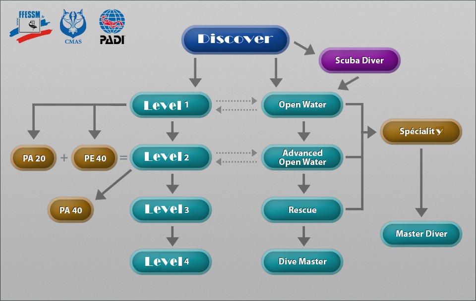diving instructor training steps